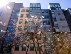 Apartemen Uc Berkeley Pilihan Ideal Bagi Mahasiswa